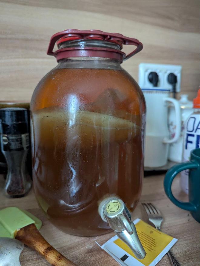 Моя самая первая банка комбучи