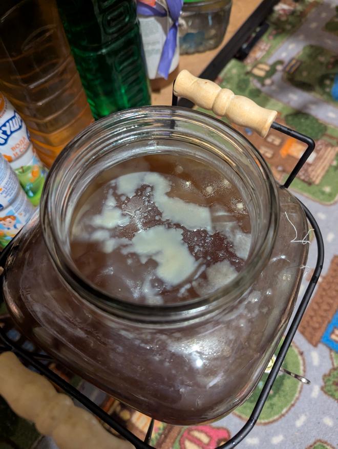 Выглядит как плесень, но это бактерии формируют новую плёнку