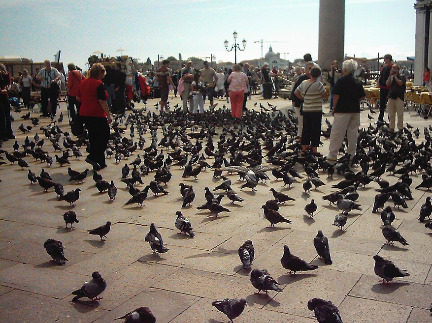 94302efe95.png?w=877