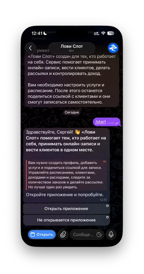 Теперь открываем само мини-приложение. Для этого нажимаем «Открыть приложение»