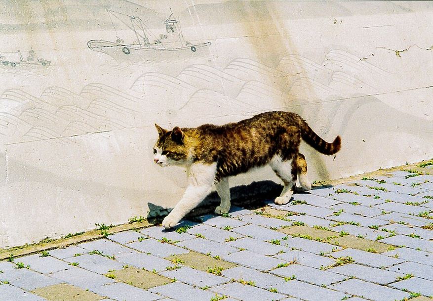04095a351e.png?w=877
