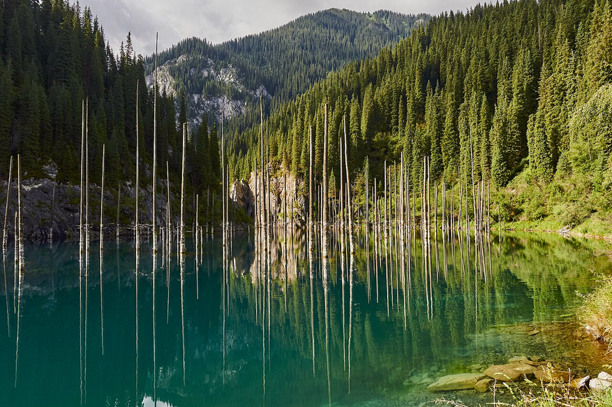 2f836a0606.png?w=877