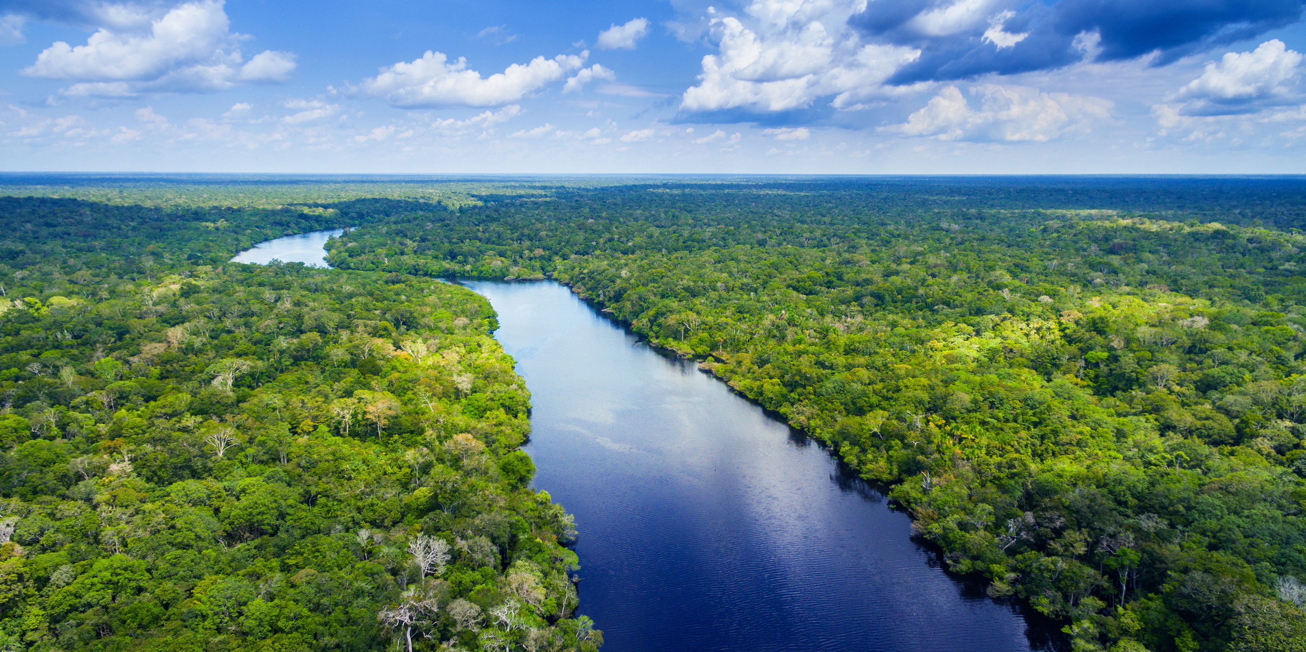 Самая полноводная река бразилии. Река Амазонка в Бразилии. Амазонская Сельва Бразилии. Южная Америка река Амазонка. Сельва Гайана.