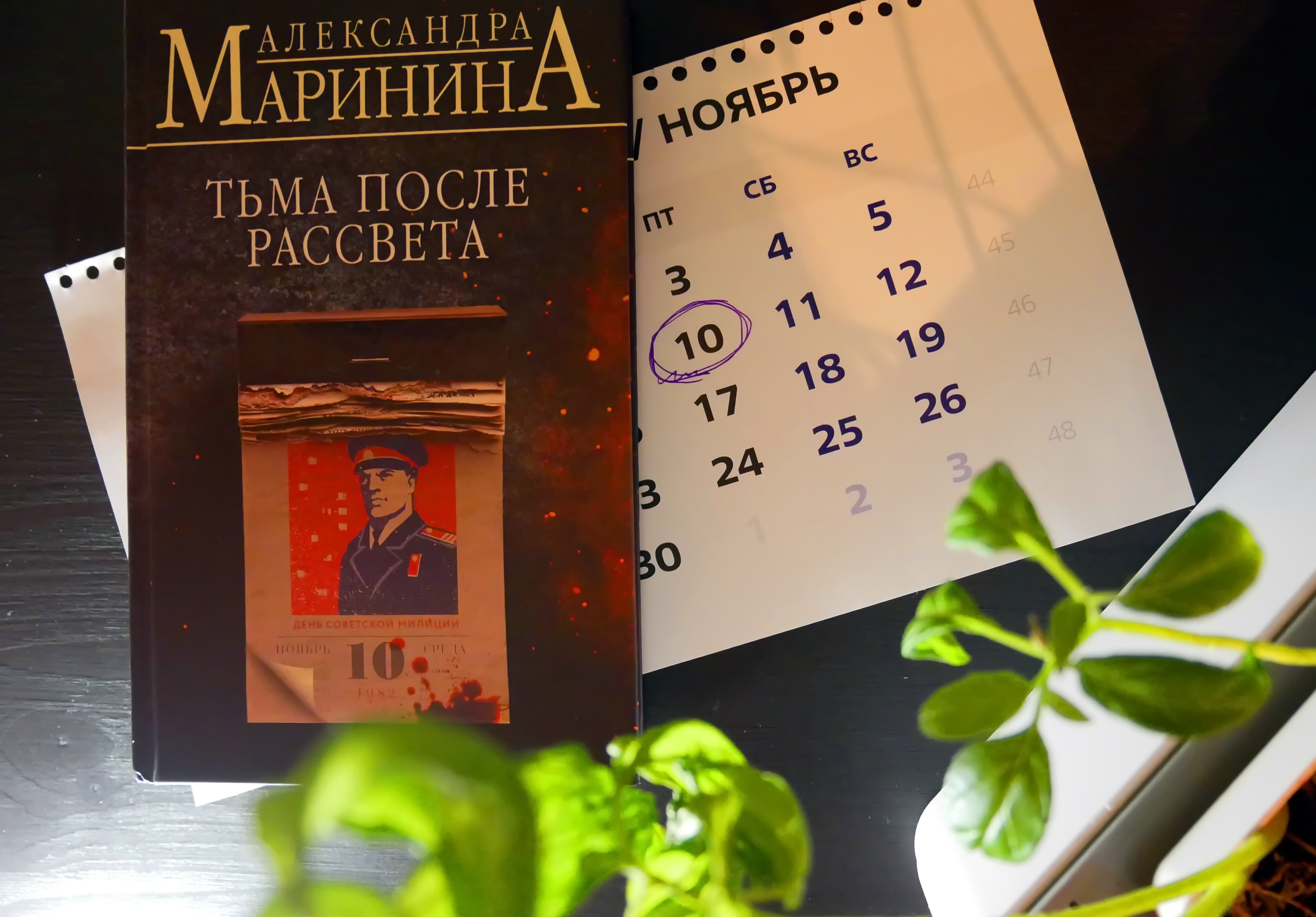 Маринина тьма