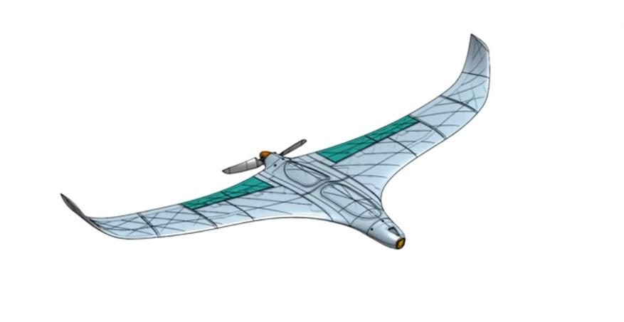 Летающее крыло Neuronautics NX2