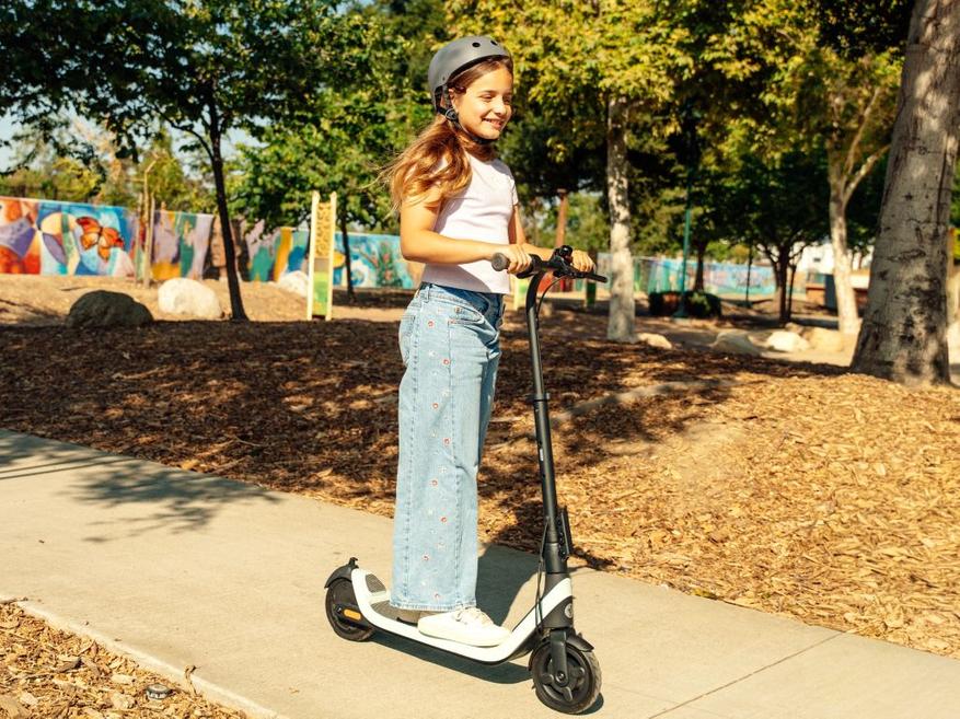 Segway C2 SE