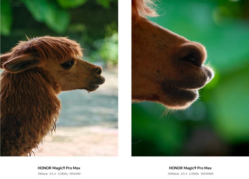 Примеры фотографий Honor Magic 9 Pro Max