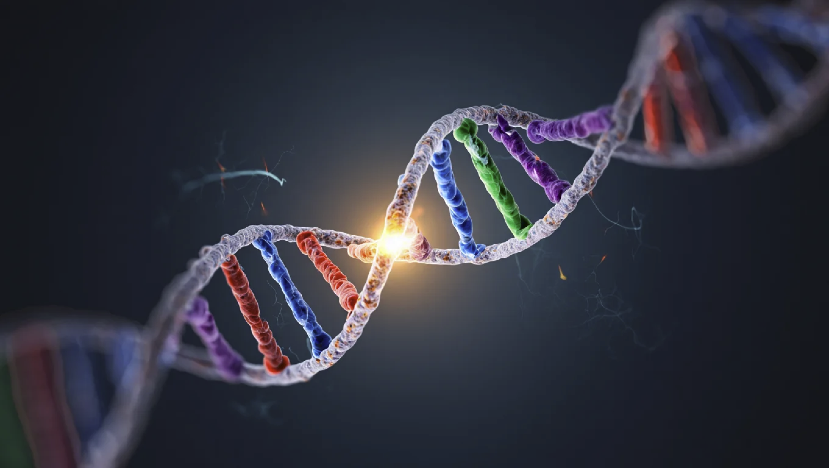 Как из неживого зародилась жизнь? Как РНК учится копировать себя – ученые воссоздают первый шаг эволюции