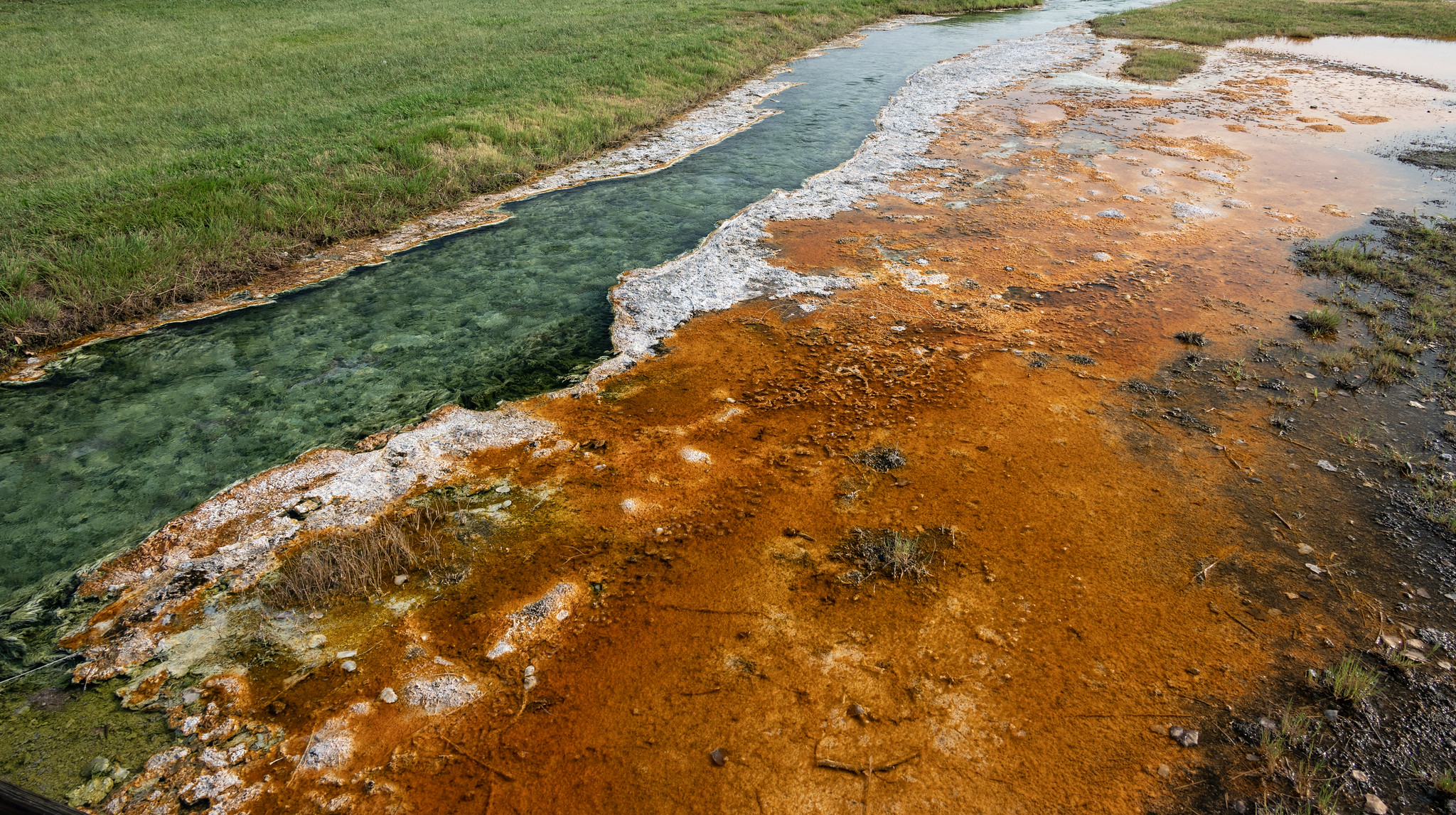Жизнь вышла из слизи: почему теория «первичного бульона» безнадежно устарела