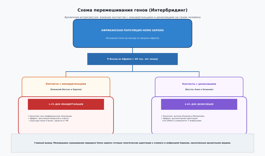 Схема перемешивания генов