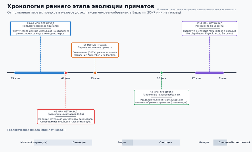 Хронология раннего этапа эволюции приматов