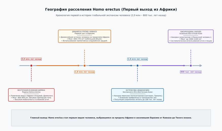 География расселения Homo erectus