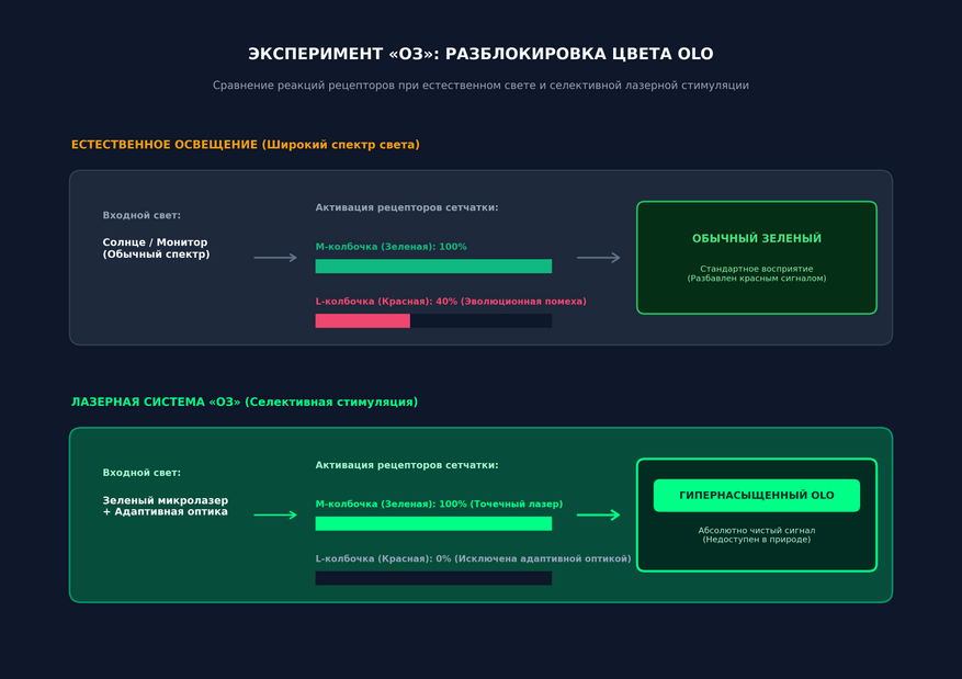 Эксперимент "ОЗ"