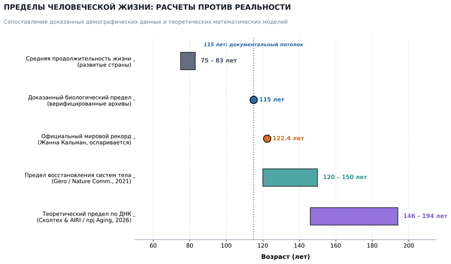 Границы человеческой жизни: расчеты против реальности. Сопоставление доказанного возраста долгожителей (115 лет) и теоретических математических моделей устойчивости организма и сохранности ДНК (120–194 года).