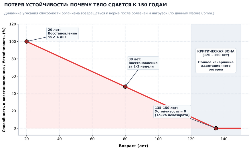 Кривая потери физиологической устойчивости. С возрастом организму требуется все больше времени для возвращения параметров крови и давления к норме. К 120–150 годам адаптационный резерв обнуляется, делая смертельным любое минимальное нарушение гомеостаза.
