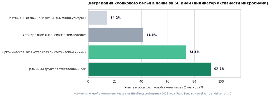 Степень деградации хлопковой ткани в грунтах разного типа за 60 дней. Хлопок состоит из чистой целлюлозы, служащей пищей для почвенных бактерий и грибов. В целинных и органических почвах микробиом уничтожает до 92% массы ткани, тогда как в истощенной агрохимией земле ткань остается практически нетронутой.