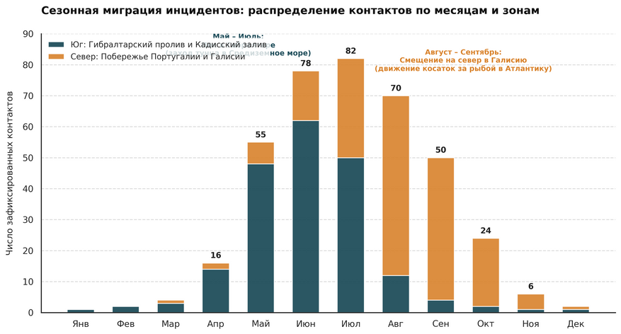 Помесячное распределение контактов косаток с судами в ключевых районах Пиренейского полуострова. Активность смещается синхронно с миграцией синеперого тунца: поздней весной эпицентр находится в Гибралтарском проливе, а к концу лета перемещается вдоль побережья Португалии на север Испании (в Галисию). Это позволяет морским службам заранее закрывать опасные участки для малых судов.