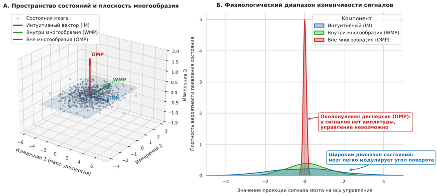 Геометрическая структура нейронного многообразия и оси управления интерфейсом. Панель А: Трехмерная схема пространства состояний. Серая плоскость обозначает границы естественного низкоразмерного многообразия активности мозга. Точки — реальные комбинации сигналов навигационной сети. Синяя стрелка (интуитивный режим, IM) совпадает с главной осью естественной изменчивости сигналов. Зеленая стрелка (WMP) задает альтернативное направление, доступное в пределах той же плоскости. Красная стрелка (OMP) направлена ортогонально: она требует выхода за границы анатомически обусловленных состояний. Панель Б: Плотность распределения активности вдоль трех осей управления. Вдоль осей IM и WMP мозг обладает широким диапазоном состояний, что позволяет точно контролировать угол движения аватара. Вдоль оси OMP изменчивость стремится к нулю: мозг физиологически не способен сдвинуть активность в эту область, из-за чего управление аватаром полностью блокируется.