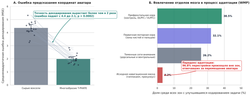 Эффективность алгоритма T-PHATE и системный ответ коры при адаптации к интерфейсу. Панель А: Сравнение ошибки декодирования координат виртуального аватара по активности мозга. Сворачивание сигналов в низкоразмерное многообразие T-PHATE снижает ошибку более чем в два раза по сравнению с анализом исходных вокселей томографа (p = 0.0002). Серые линии связывают результаты отдельных участников. Панель Б: Распределение 26 179 вокселей коры головного мозга, продемонстрировавших достоверное улучшение кодирования задачи в процессе адаптации внутри многообразия (WMP). Хотя интерфейс считывал сигналы только из навигационной сети, на ее долю пришлось лишь 3,2% пластических изменений. Основную нагрузку по перенастройке сигналов взяли на себя зоны исполнительного контроля префронтальной коры (38,5%) и первичная моторная кора (32,1%).