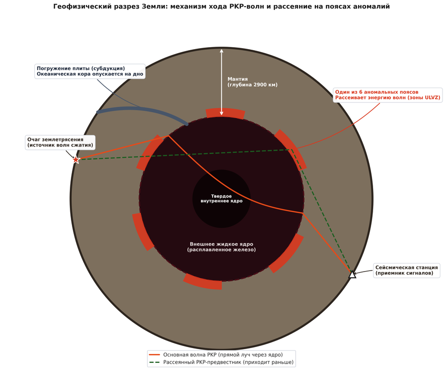 Поперечный вид Земли и механизм формирования опережающих сейсмических волн. Прямой луч PKP проходит через жидкое внешнее ядро. Если на границе мантия-ядро луч встречает один из шести аномальных поясов (плотные остатки древних плит и частично расплавленные породы ULVZ), часть энергии рассеивается. Этот рассеянный импульс (зеленый пунктир) проходит по более короткой траектории и фиксируется приборами на несколько секунд раньше основного фронта.