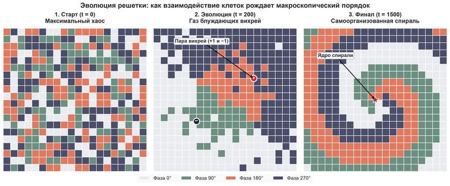Рождение макроскопического порядка из случайного шума. Слева направо показаны этапы жизни клеточного автомата. На старте клетки находятся в полном беспорядке: четыре возможных фазовых состояния распределены случайно. Через несколько сотен шагов взаимодействия формируют связные области, на границах которых рождаются скоординированные пары противоположных вихрей со знаками плюс и минус. В финале уцелевшие дефекты организуют движение клеток вокруг единого центра, формируя стабильную вращающуюся спиральную волну.