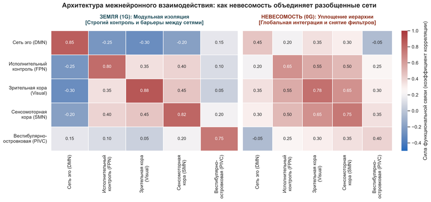 Матрица функциональной связности крупномасштабных нейросетей. В условиях Земли (слева) сеть эго изолирована от сенсорных систем отрицательными связями (синие клетки), что удерживает стабильное разделение на «внутреннее» и «внешнее». В невесомости (справа) изоляция падает, а сквозная связность между сенсорными и ассоциативными зонами возрастает (теплые тона). Это формирует вычислительную базу для переживания глубинного единства с окружающим миром.