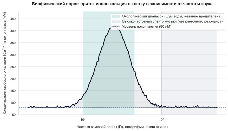 Частотная избирательность растительных клеток к звуковым волнам. Зависимость концентрации ионов кальция Ca(2+) внутри растительной клетки от частоты звукового давления. Растительные ткани демонстрируют выраженный физиологический отклик только в узком окне частот от 150 до 350 Гц — именно в этот диапазон попадают жизненно важные сигналы: микровибрации текущей воды и скрежет челюстей насекомых-вредителей. На более высоких частотах (от 1000 Гц и выше), где звучит большинство музыкальных инструментов и человеческая речь, ионные каналы не открываются, и уровень кальция остается на базовой отметке покоя (80 нМ). Модель биофизического отклика механочувствительных ионных каналов мембраны.