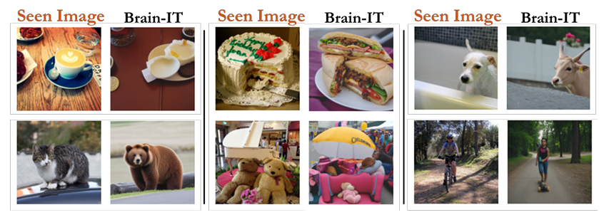 Характерные сбои алгоритма Brain-IT: из-за схожести круглой формы и цветовой палитры нейросеть может перепутать чашку кофе с яичницей, а праздничный торт — с бутербродом
