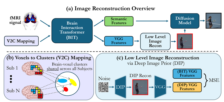 Общая схема Brain-IT: массив вокселей распределяется по функциональным кластерам, после чего трансформер BIT запускает параллельно построение грубого эскиза (через алгоритм DIP) и семантическую доработку диффузией