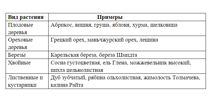 Можно ли удалить дерево на своем участке