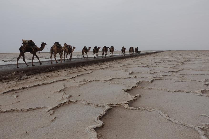 5119b4d05d Самая низкая точка Земли и +50 градусов тепла: чем интересна Данакильская депрессия в Эфиопии