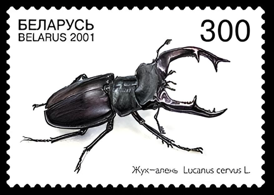 Почтовая марка Беларуси, 2001 год