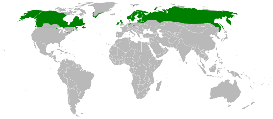 Ареал