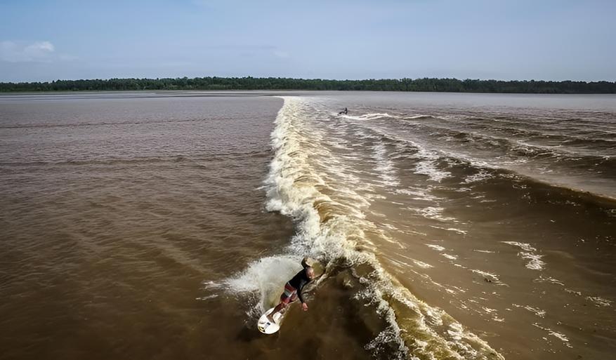 479fb3fd99.jpg?w=877