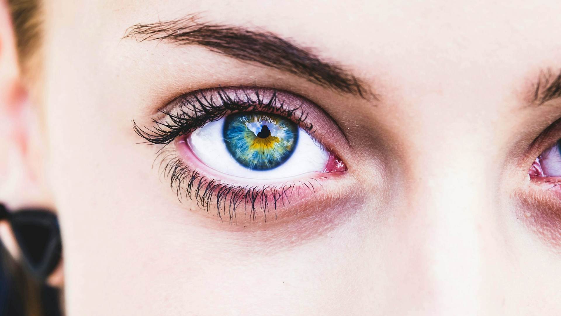 Компания Илона Маска Neuralink начала разработку бионического глаза