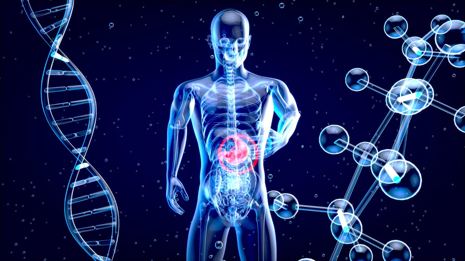 Шестое чувство найдено: кишечник передаёт сигналы от бактерий в мозг