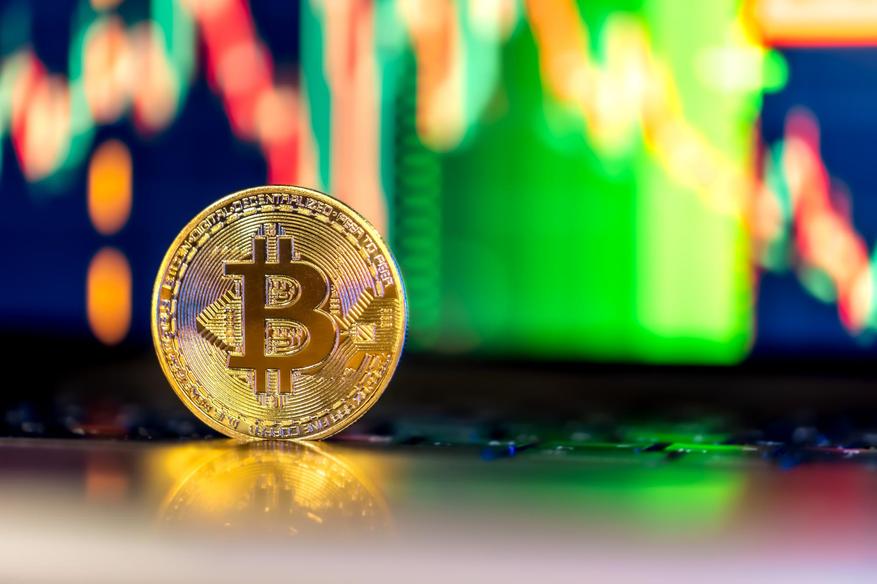 
                            Биткоин может подорожать до $200 000 после разрешения вкладывать пенсии в криптовалюты
            
            
            
                    0