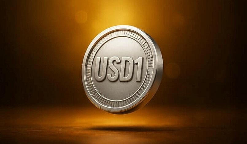 
                            Соучредитель Blockstreet прогнозирует доминирование USD1 на рынке стейблкоинов к 2028 году
            
            
            
                    0
