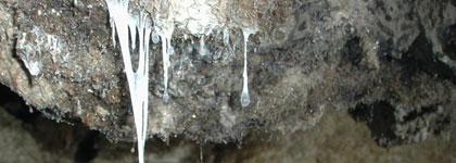 Сноттиты (от англ. snot - «сопли» и stalactite - «сталактит»), биоплёнки хемосинтезирующих бактерий из серной пещеры Куэва-де-Вилья-Лус