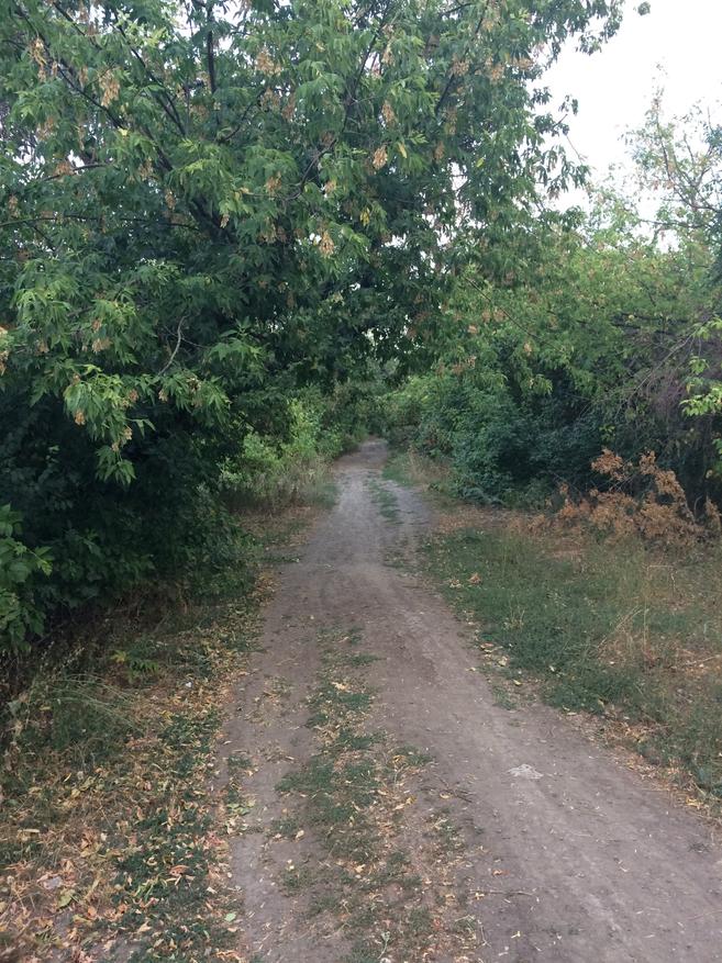 Съёмка в пасмурную погоду, 1x