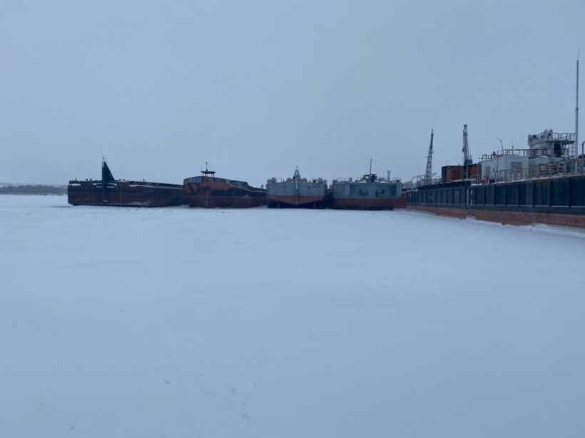 Криушинский затон Куйбышевского водохранилища реки Волги