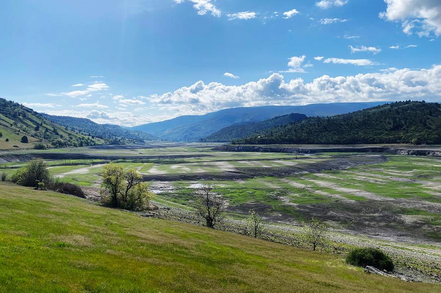 Новая растительность на дне после спуска водохранилища на реке Кламат