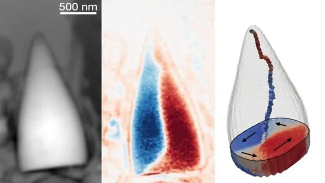Ученые обнаружили древние магнитные окаменелости неизвестного существа со «встроенным GPS»