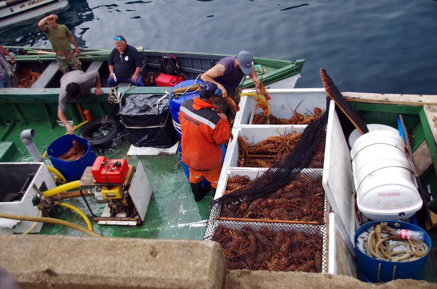 79400f70c3 Исследуем остров Робинзона Крузо: активности, кухня и практические рекомендации
