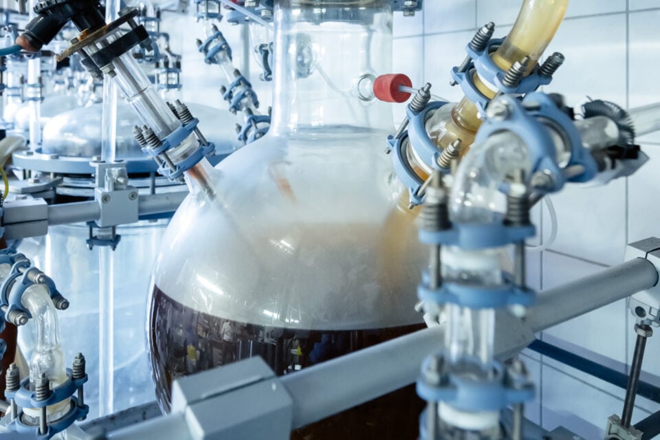 Немецкий стартап создал технологию переработки пластика с помощью грибка