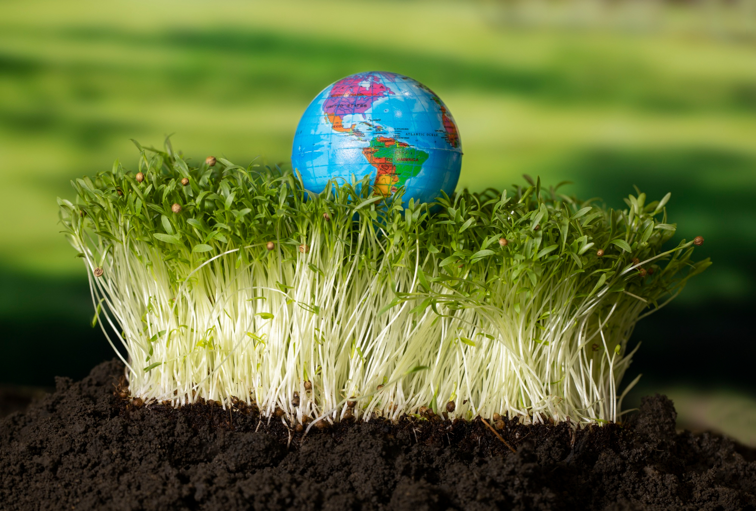 Генетики выяснили, что жизнь на Земле зарождалась иначе