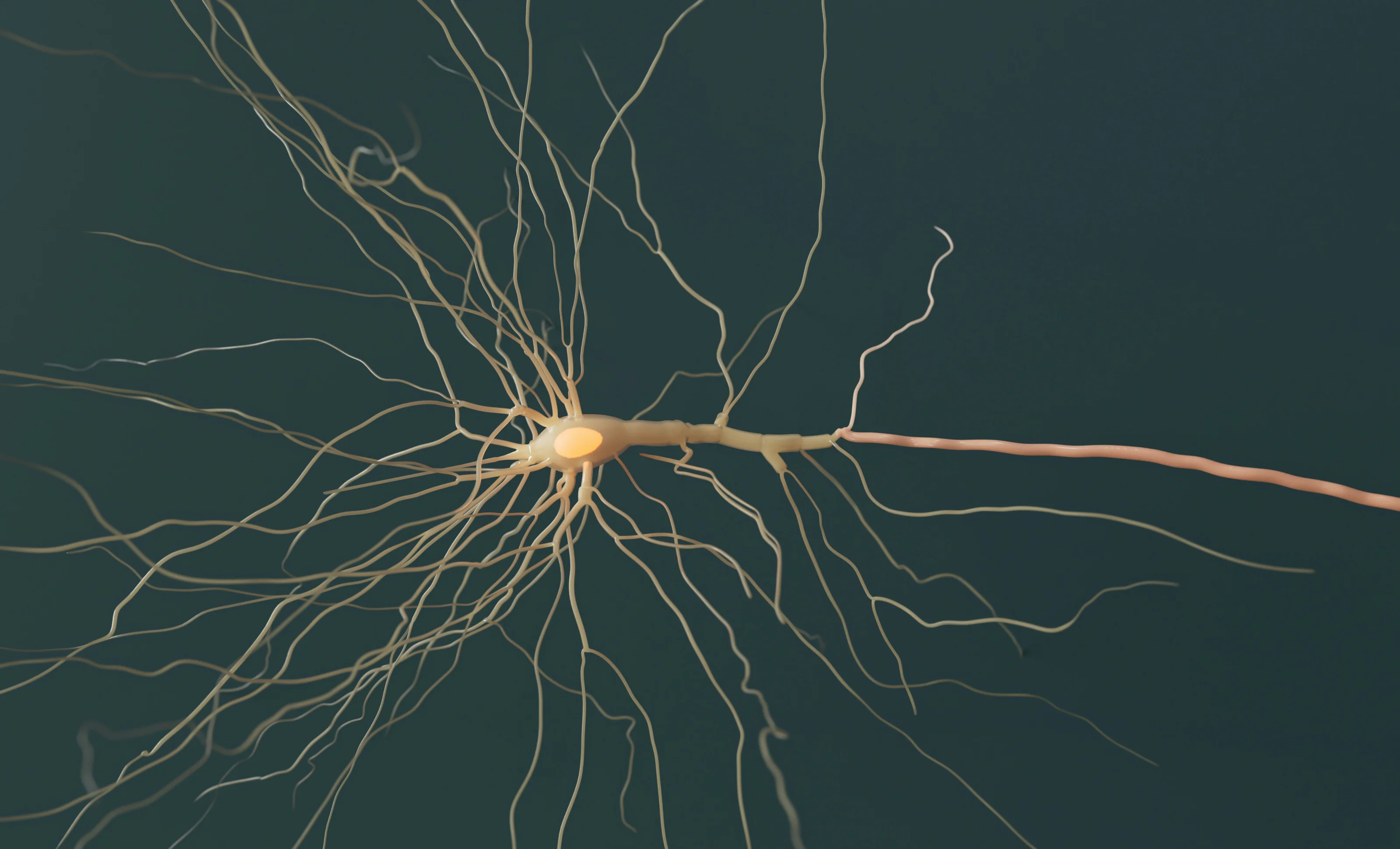 Исследователи из Кембриджа протестировали лекарства для ремонта оболочки нервов при рассеянном склерозе