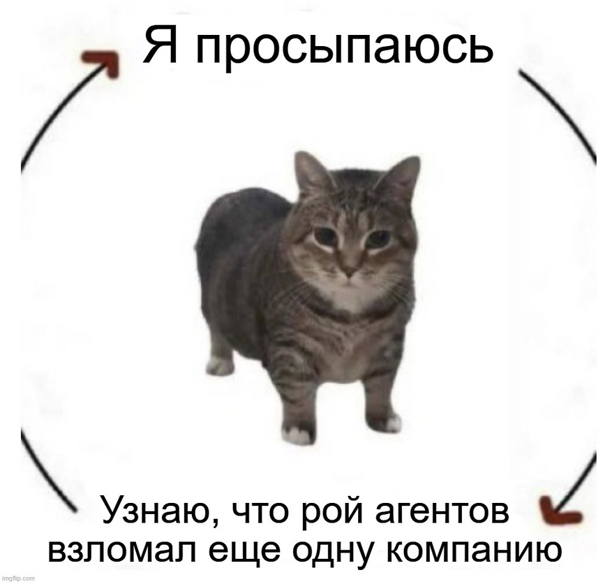 Это я. В меме нарисован я. Это мой каждый день последние пару недель…