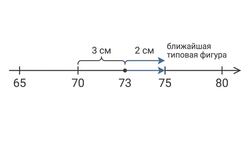 Обхват 73 не совпадает ни с одной типовой фигурой - шкала вынуждает округлять, и в этом зазоре теряется до 2-3 см точности.