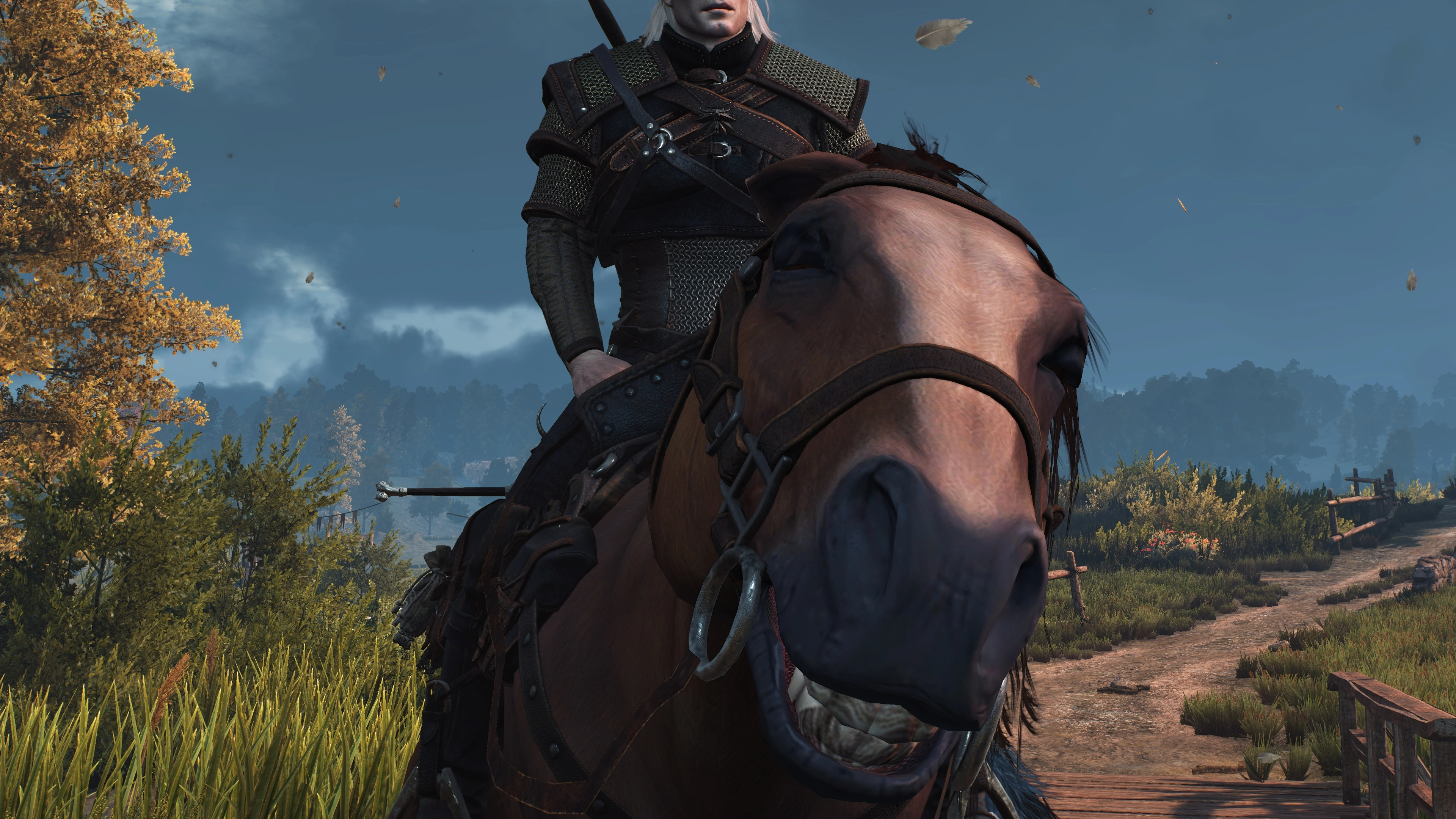 The witcher 3 steam mods фото 63